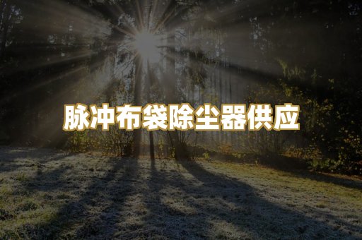 脉冲布袋除尘器供应